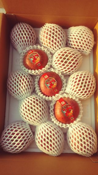 이윤동님의 사과 · 시세•판로 작성글 사진