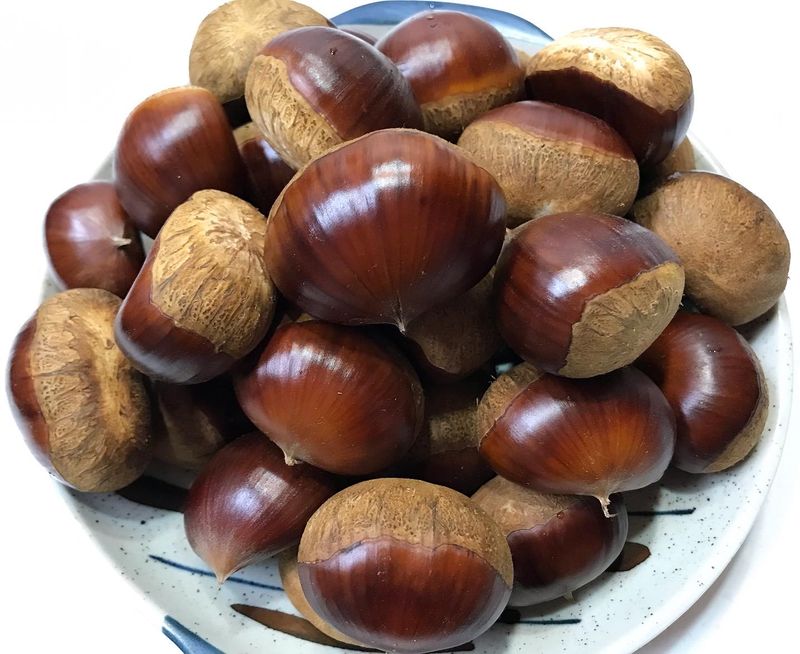 신연희님의 장터 판매 상품 [[판매완료] 토종알밤 4Kg] 첨부 사진