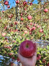 팜모닝 · 게시글 이미지