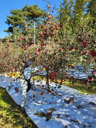김주영님의 작성글 사진