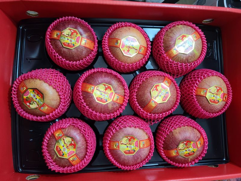 장터 상품 [일양얼음골사과10Kg] 썸네일