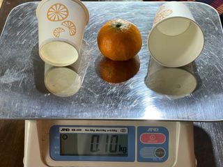 김진님의 귤 · 시세•판로 작성글 사진