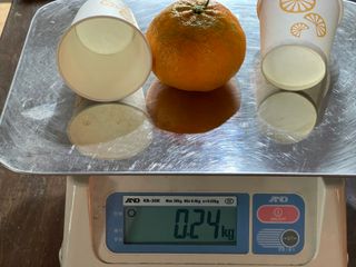 김진님의 귤 · 시세•판로 작성글 사진