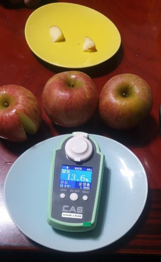 호랑이와인성이님의 사과 · 저장•가공 작성글 사진