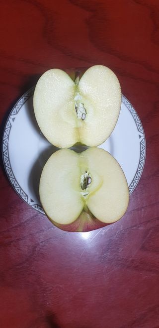 호랑이와인성이님의 사과 · 저장•가공 작성글 사진