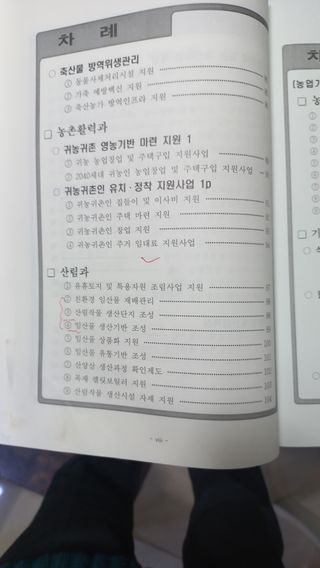 파란농원님의 고추 · 일상 작성글 사진