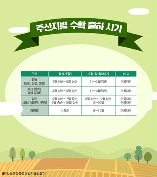 대파 농사도우미님의 파 · 농사길잡이 작성글 사진