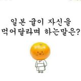 팜모닝 귤·일상 게시글 이미지