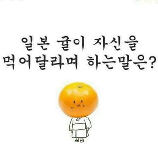 알 수 없음님의 귤 · 일상 작성글 사진