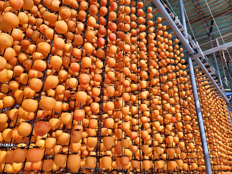 장터 상품 [자연건조 상주곶감(건시/반건시)] 썸네일