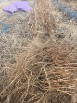 팜모닝 · 게시글 이미지