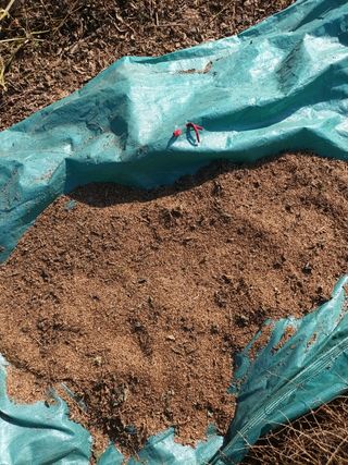 팜모닝회원 최창락 님의 작성글 사진