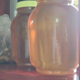 팜모닝 · 게시글 이미지