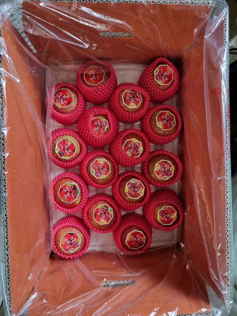 김영식님의 장터 판매 상품 [밀양얼음골사과 선물용 5Kg] 첨부 사진