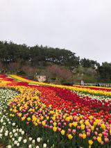 팜모닝 농기계정보·자유게시판 게시글 이미지