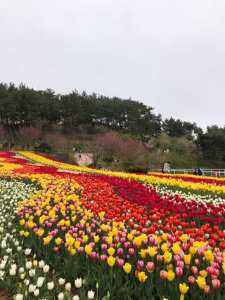 부성농원님의 농기계정보 · 자유게시판 작성글 사진