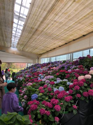 부성농원님의 농기계정보 · 자유게시판 작성글 사진