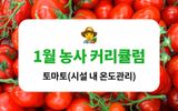 팜모닝 토마토·생장기 농작업 게시글 이미지