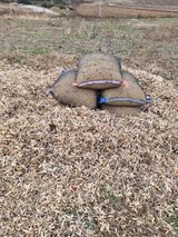 팜모닝 콩·자유게시판 게시글 이미지