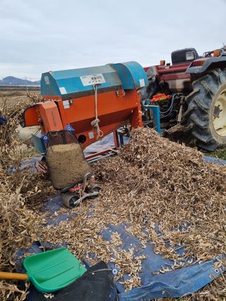 이기환님의 콩 · 자유게시판 작성글 사진
