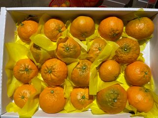 김진님의 귤 · 시세•판로 작성글 사진