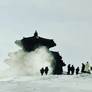 산 아래님의 마늘 · 일상 작성글 사진