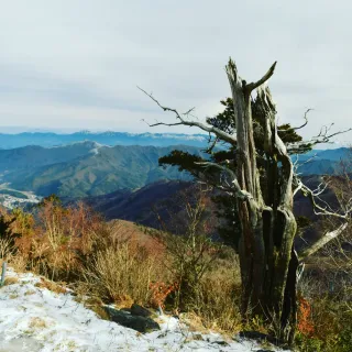 산 아래님의 마늘 · 일상 작성글 사진