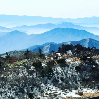 산 아래님의 마늘 · 일상 작성글 사진