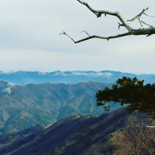 산 아래님의 마늘 · 일상 작성글 사진