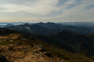 산 아래님의 마늘 · 일상 작성글 사진