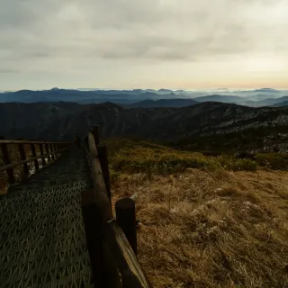 산 아래님의 마늘 · 일상 작성글 사진