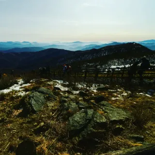 산 아래님의 마늘 · 일상 작성글 사진