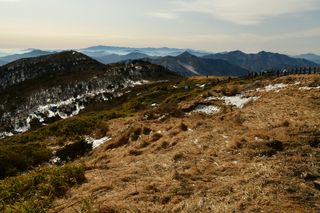산 아래님의 마늘 · 일상 작성글 사진