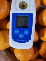 팜모닝 귤·수확 게시글 이미지