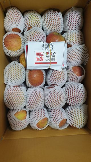 호랑이와인성이님의 사과 · 저장•가공 작성글 사진