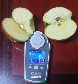 호랑이와인성이님의 사과·저장•가공 작성글 사진