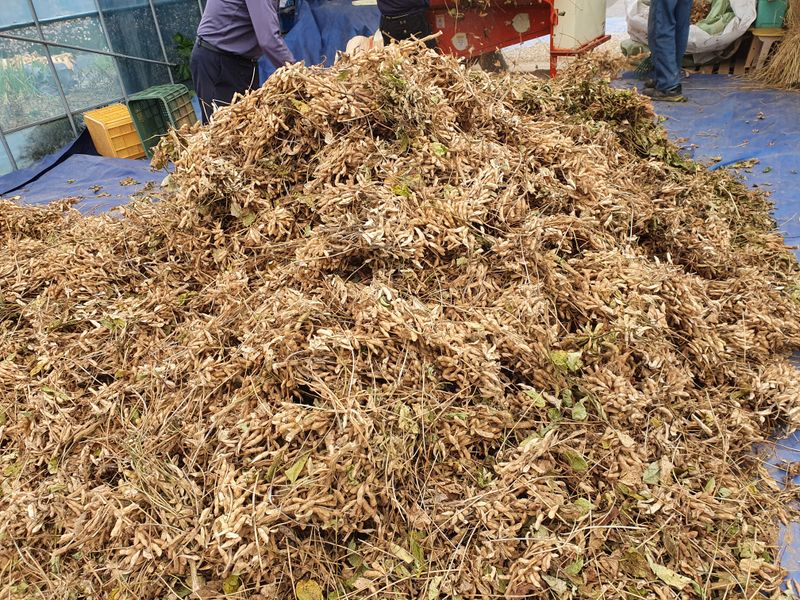 장터 상품 [청국장 ] 썸네일