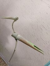 팜모닝 감자·자유게시판 게시글 이미지