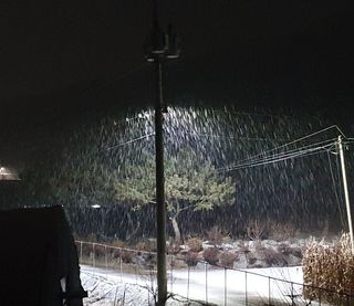 알 수 없음님의 기타작물 · 자유게시판 작성글 사진