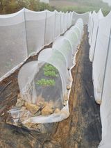 팜모닝 배추·일상 게시글 이미지