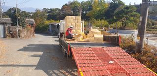 대박인상님의 감자 · 자유게시판 작성글 사진