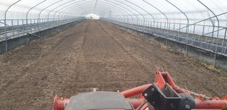 대박인상님의 감자 · 자유게시판 작성글 사진