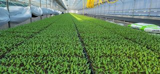 임성준님의 작성글 사진