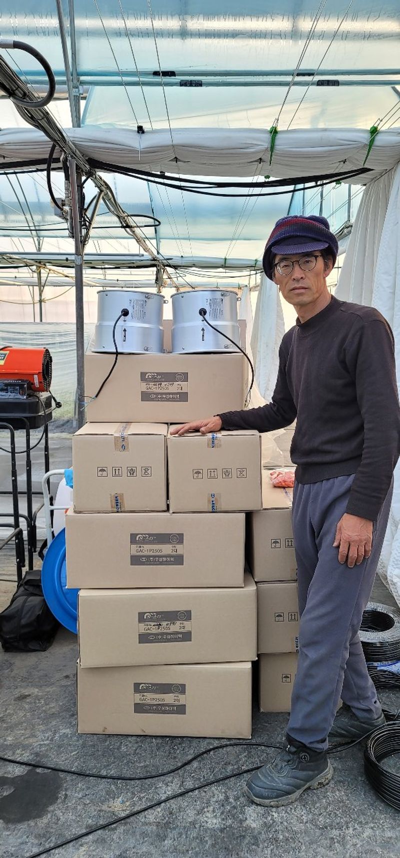 임성준님의 장터 판매 상품 [고추모종(유기농인증)72구 ] 첨부 사진