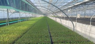 임성준님의 작성글 사진