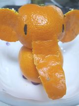 팜모닝 귤·일상 게시글 이미지