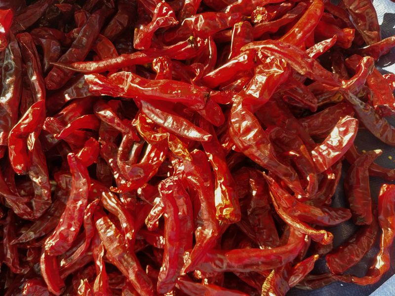 정동욱님의 장터 판매 상품 [고춧가루 한근600g] 첨부 사진