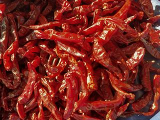 정동욱님의 작성글 사진