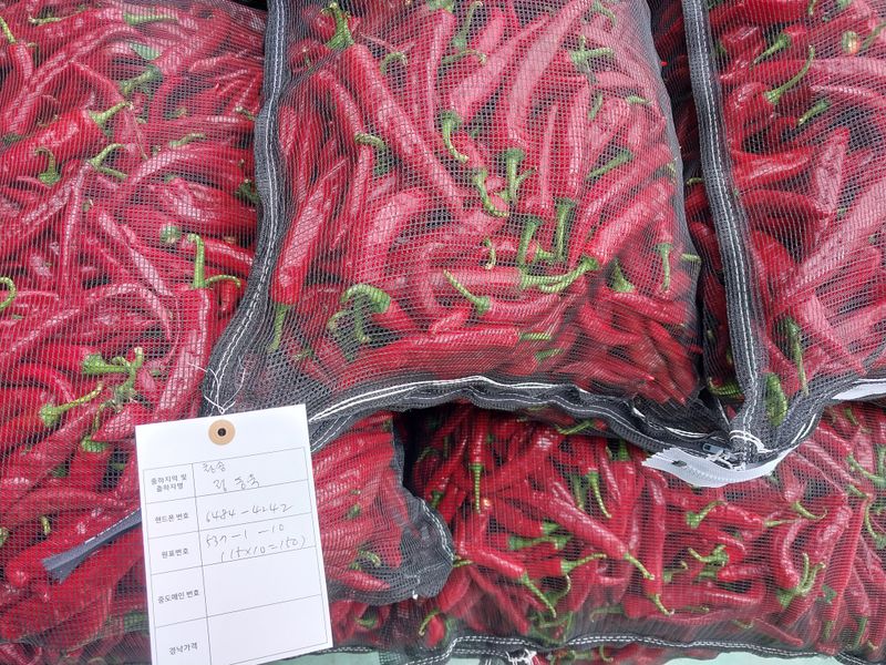 정동욱님의 장터 판매 상품 [고춧가루 한근600g] 첨부 사진