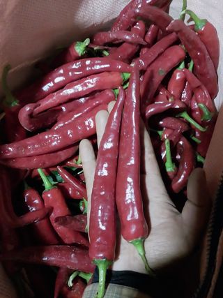 정동욱님의 작성글 사진